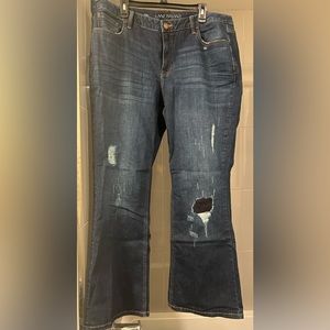 Women's low rise bootcut jeans lane Bryant sz 22 dark wash